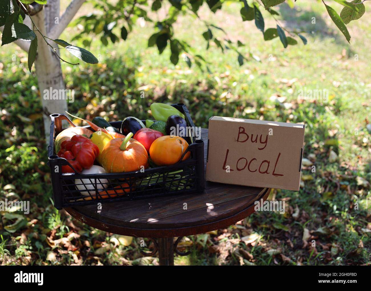 Verdure fresche di stagione al mercato agricolo locale. Supporto aziendale locale. Acquistare prodotti agricoli locali non OGM. Foto Stock