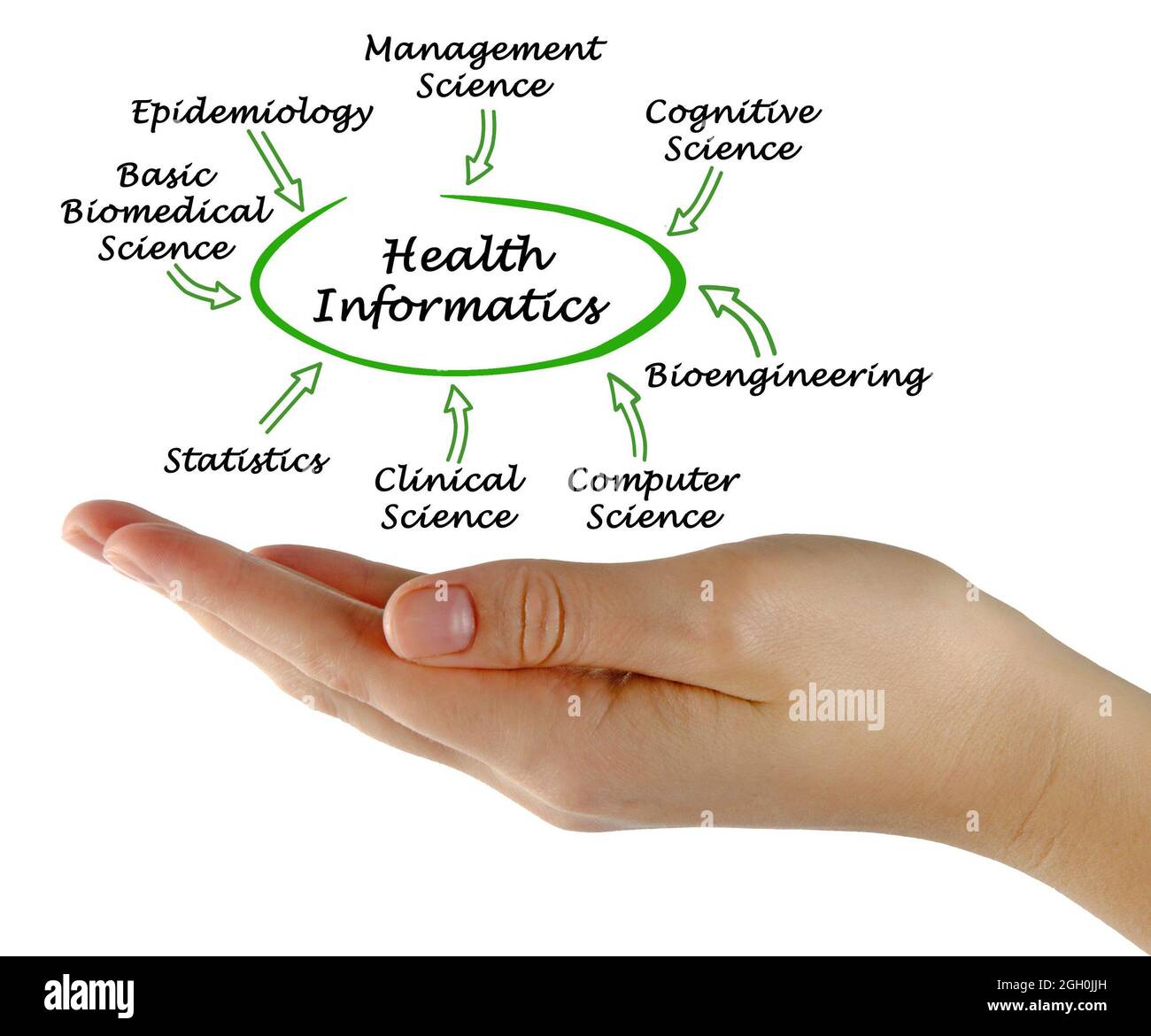 Otto componenti di Health Informatics Foto Stock