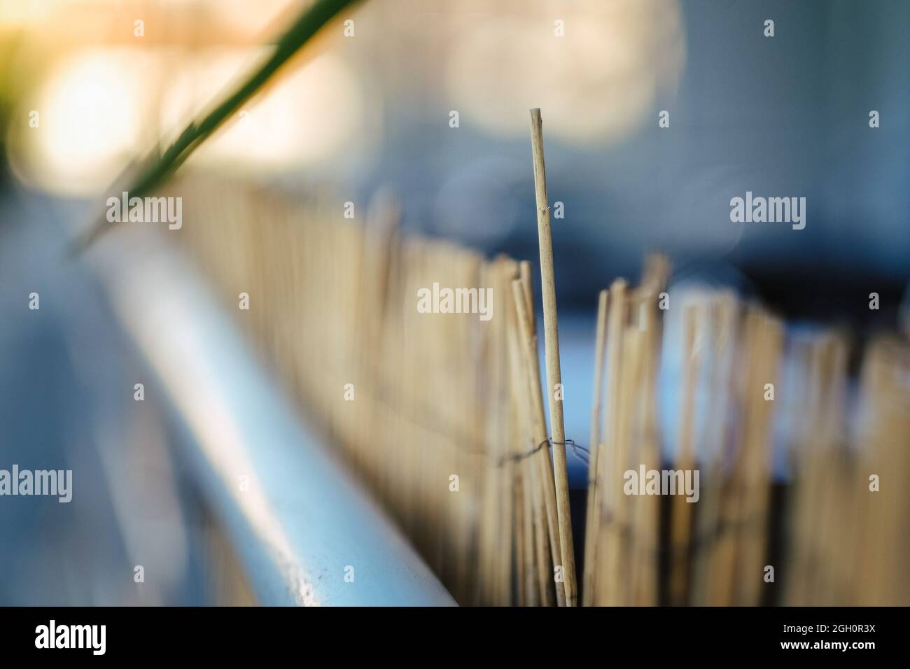 Fuoco selettivo di una recinzione in legno con cablaggio arrugginito Foto Stock