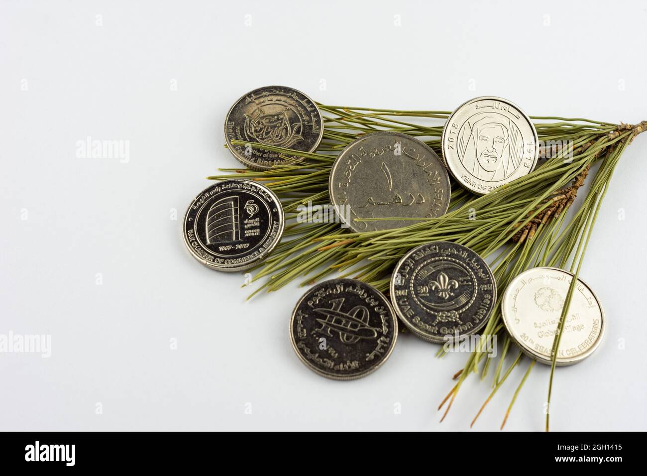 Monete di Dirham degli Emirati Arabi Uniti su aghi di pino isolato su sfondo bianco, anno di Zayed 2018. Foto Stock