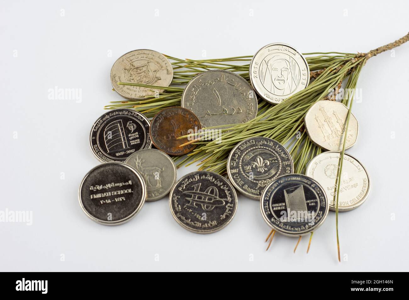 Monete di Dirham degli Emirati Arabi Uniti su aghi di pino isolato su sfondo bianco, anno di Zayed 2018. Foto Stock