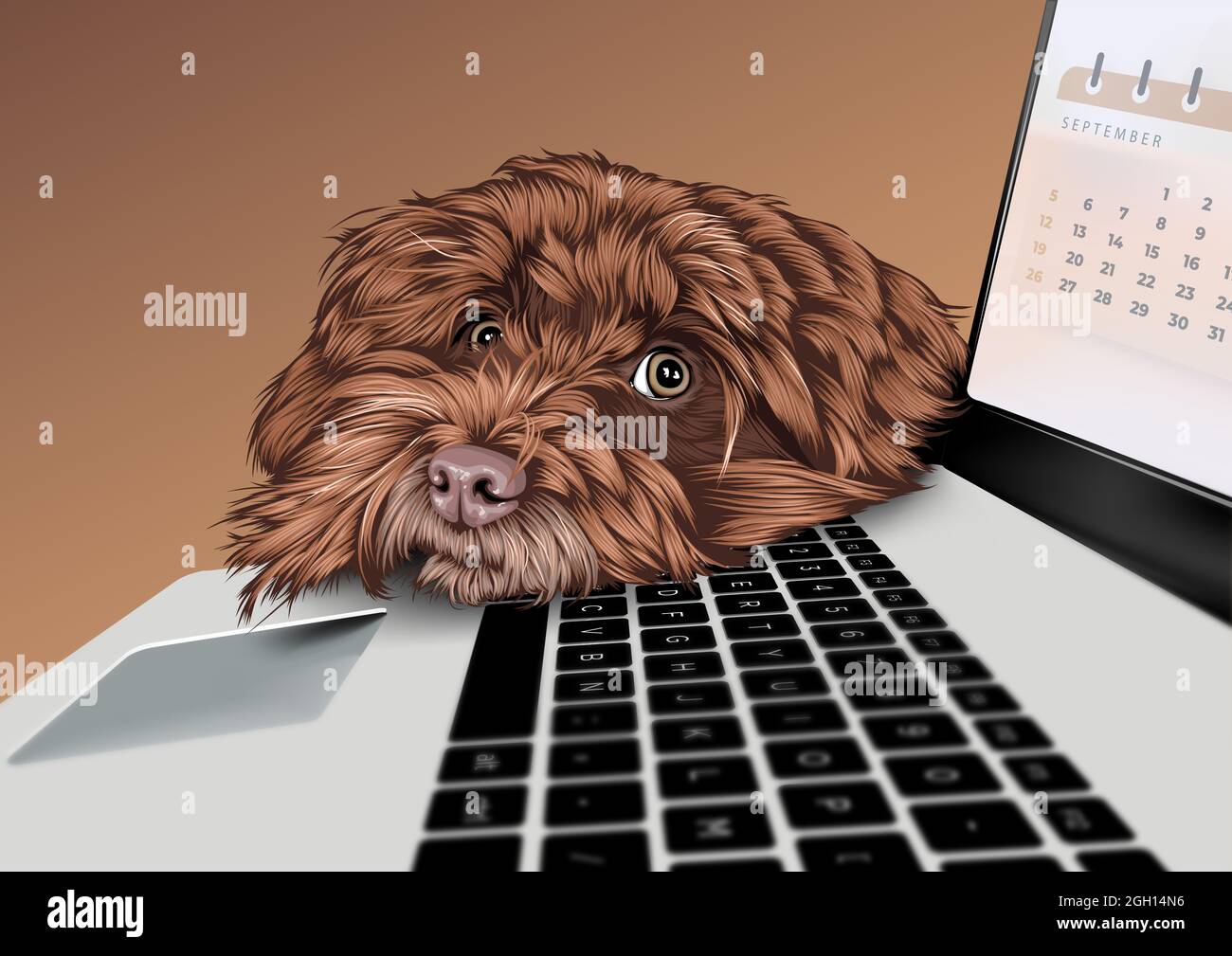 Cane Havanese Bichon utilizzando il concetto di telelavoro Foto Stock