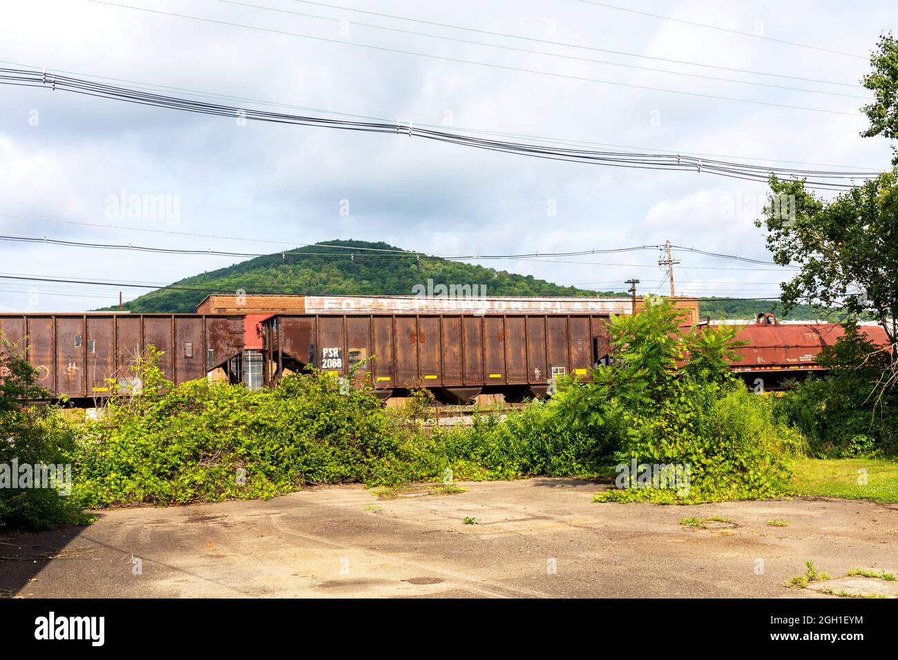 BRADFORD, PA, USA-13 AGOSTO 2021: Una linea di vagoni ferroviari, con spazzola di fronte, un edificio industriale e una piccola montagna che si innalza dietro. Foto Stock