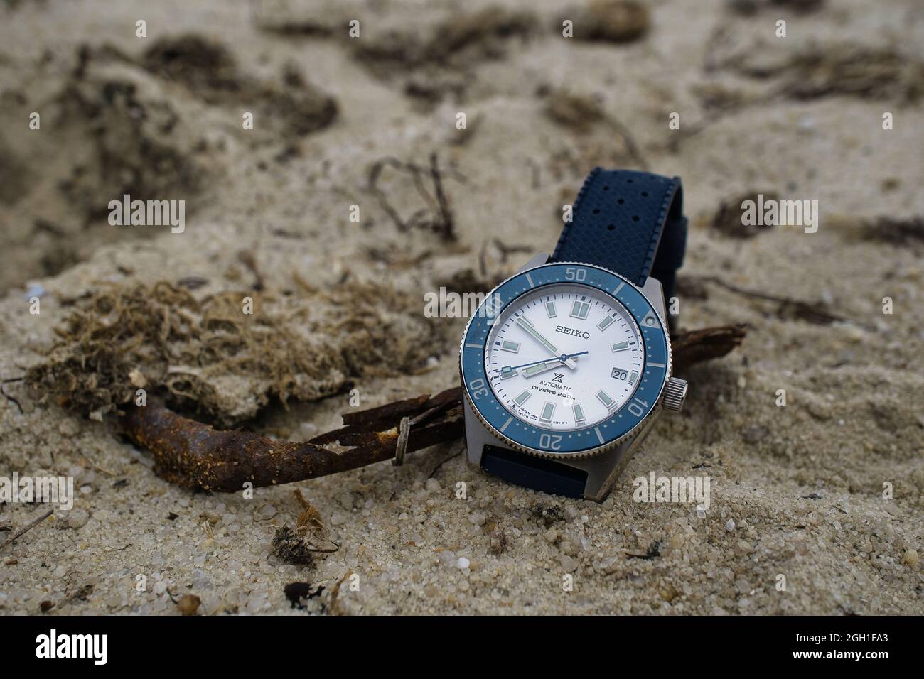 Seiko Prospex SBDC139 (noto anche come SPB213J1) Diver - brano per il 140° anniversario Foto Stock