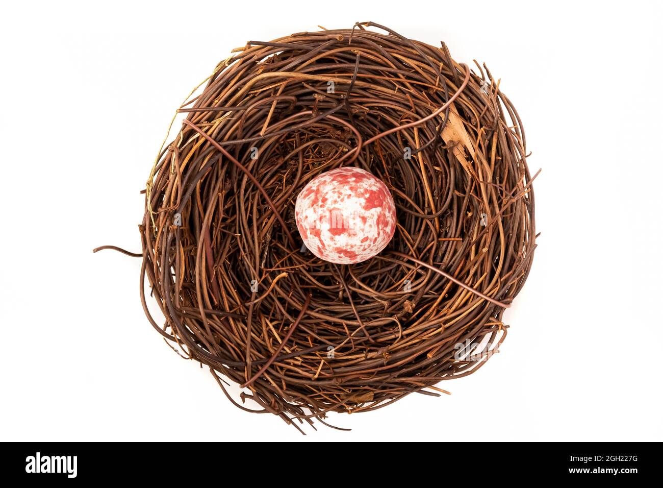 Un nido d'uccello con un piccolo uovo bianco e rosa macchiato. Foto Stock