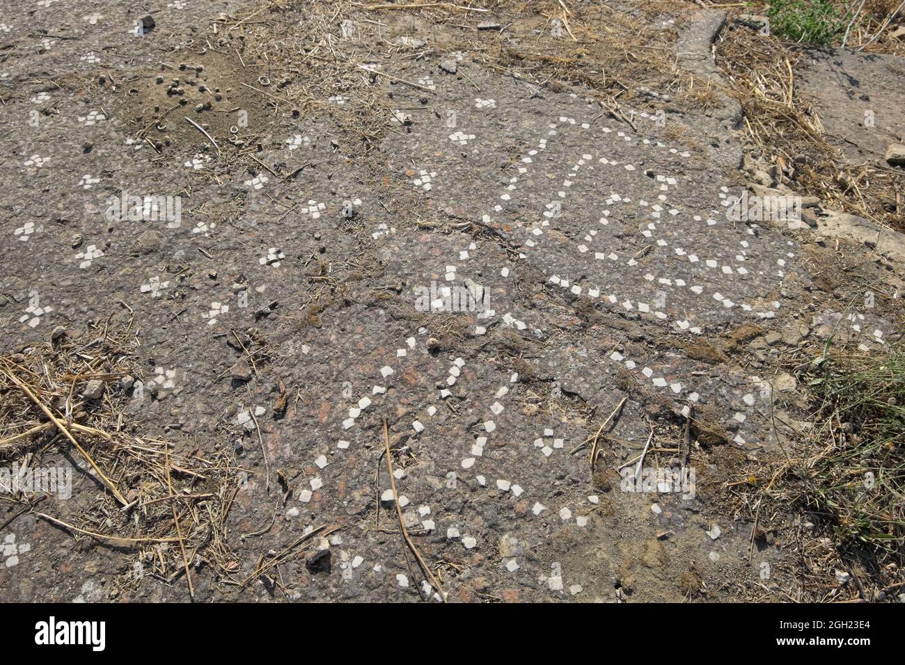 archeologia e storia della Sicilia pavimento a mosaico nell'antica città di Filosophiana a Mazzarino (Caltanissetta) Foto Stock