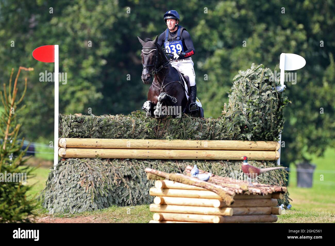 Budleigh Salterton, Devon, Regno Unito. 4 settembre 2021; Bicton Park, East Budleigh Salterton, Budleigh Salterton, Regno Unito: Bicton CCI 5* Equestrian Event; Oliver Townend Riding Tregilder Credit: Action Plus Sports Images/Alamy Live News Foto Stock