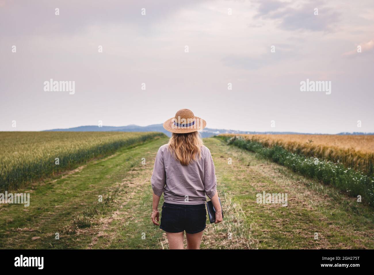 Coltivatore che ispeziona ed esamina il campo agricolo con pianta di cereale. Donna con cappello di paglia e tavoletta digitale che cammina nella sua fattoria biologica Foto Stock