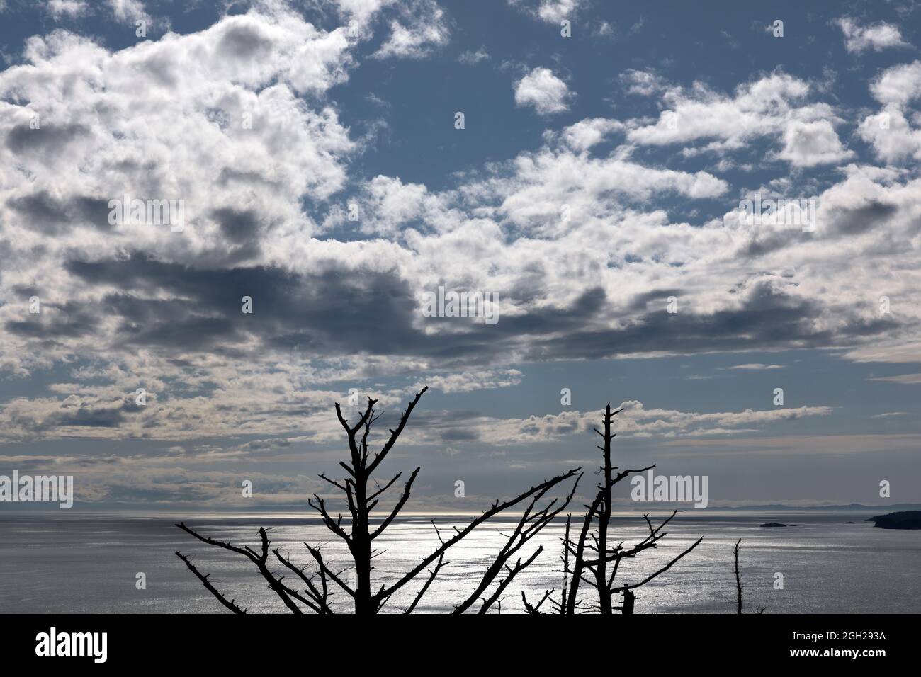WA20233-00....WASHINGTON - cielo, acqua, rami di alberi e stretto di Rosario da Rosario Head in Deception Pass State Park Fidalgo Island. Foto Stock