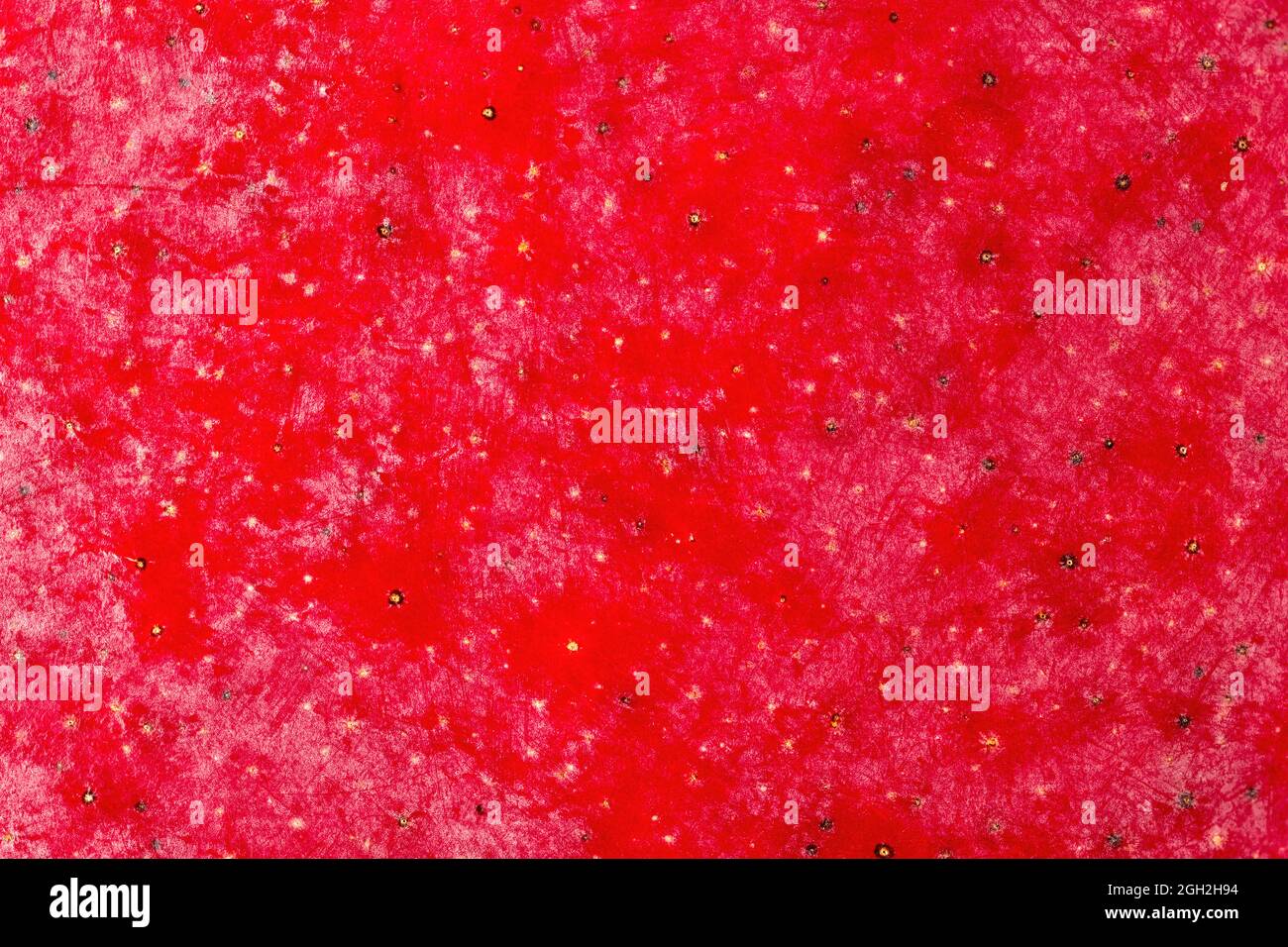macro pelle di frutta di mango rosso Foto Stock