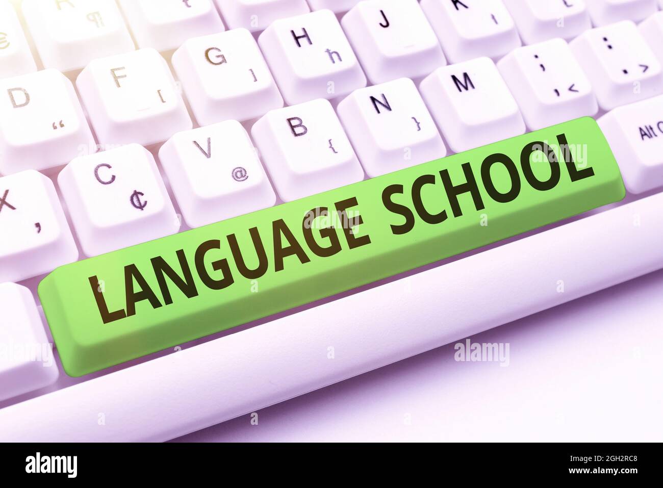 Testo che mostra Inspiration Language School. Business idea istituzione educativa in cui le lingue straniere sono insegnate a creare nuove elaborazioni di testi Foto Stock