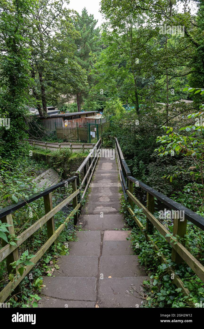 Jesmond Dene è un parco pubblico nella zona orientale di Newcastle upon Tyne donato da Lord Armstrong e sua moglie nel 1860 Foto Stock