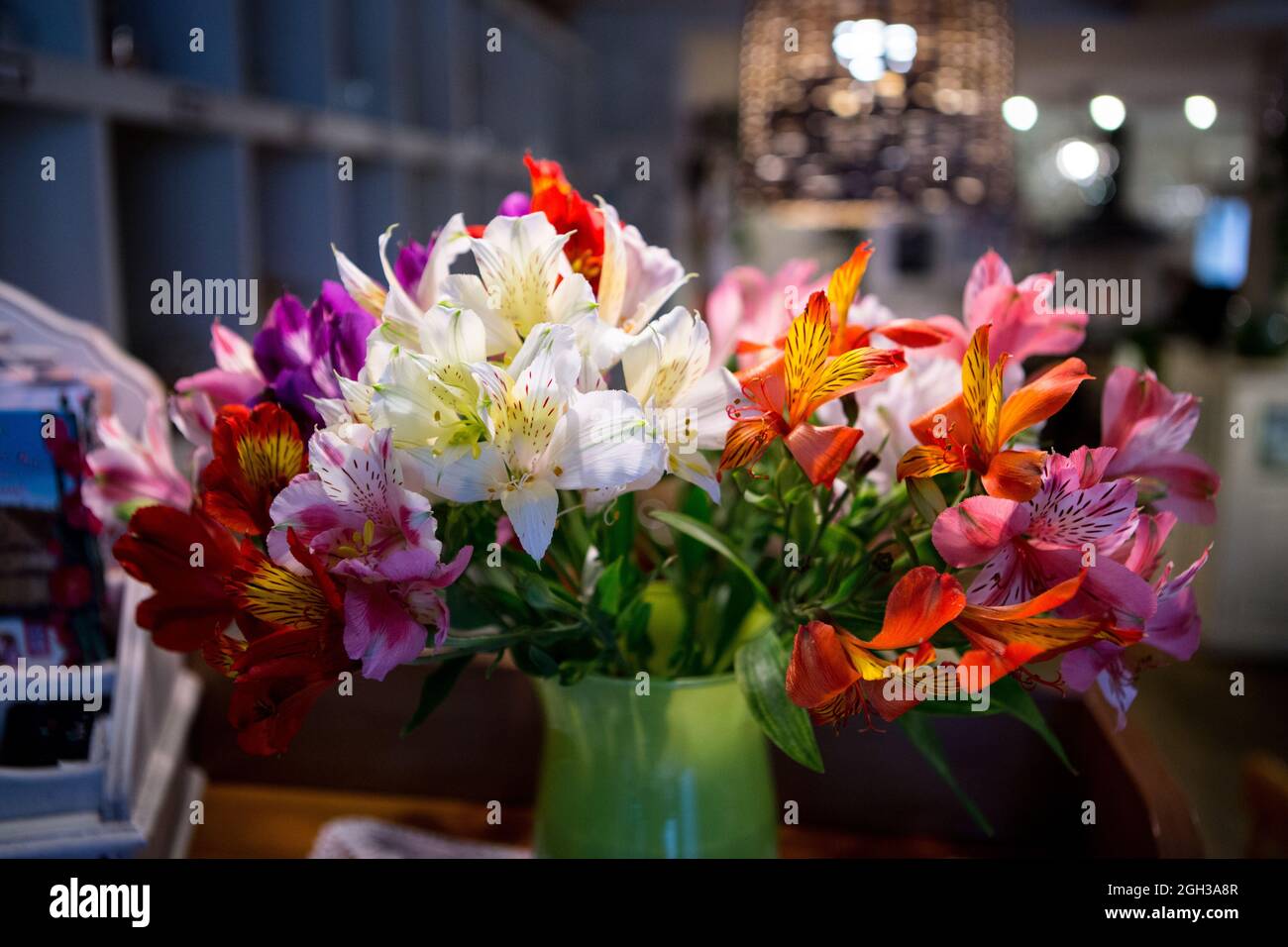 Un bouquet di fiori ALSTROMERIA in un vaso all'interno del ristorante, caffè. Foto Stock