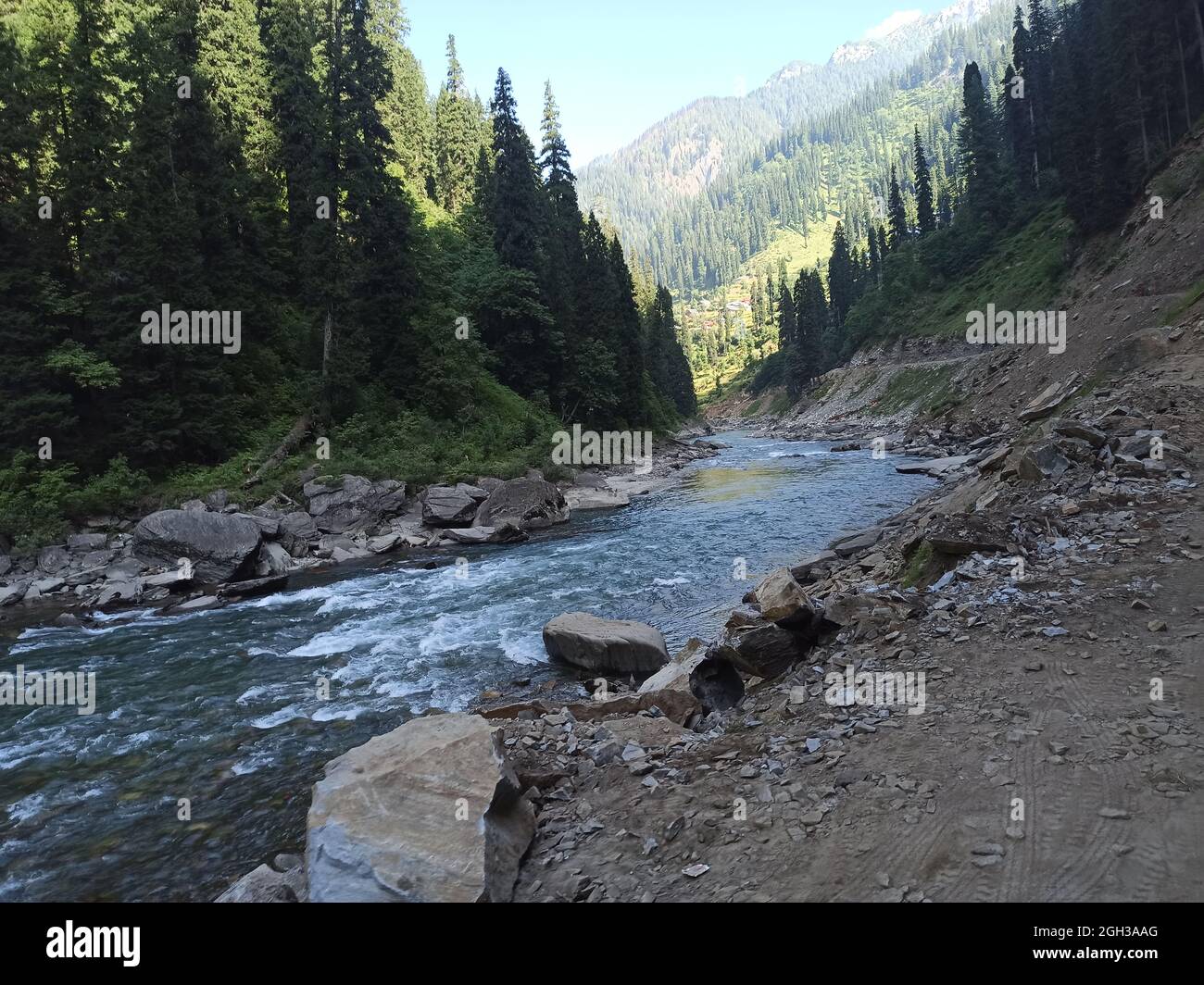 Bellissimo lago di traversata nella foresta profonda Foto Stock