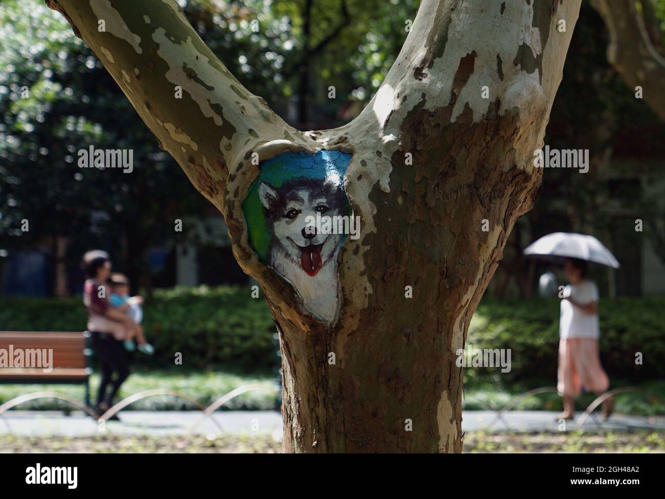 Shanghai, Cina. 31 ago 2021. Un buco dipinto è visto al parco di Zhabei a Shanghai, Cina orientale, 31 agosto 2021. Il Parco Zhabei ha recentemente fatto uno sforzo per migliorarne l'aspetto pulendo e abbellendo i fori degli alberi nel parco con motivi creativi. Credit: Wang Xiang/Xinhua/Alamy Live News Foto Stock