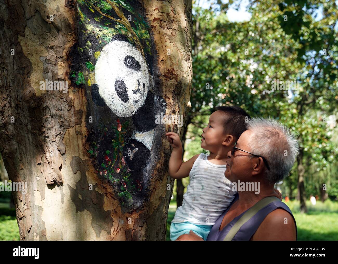 Shanghai, Cina. 31 ago 2021. La gente guarda un buco di alberi dipinti al Parco Zhabei a Shanghai, Cina orientale, 31 agosto 2021. Il Parco Zhabei ha recentemente fatto uno sforzo per migliorarne l'aspetto pulendo e abbellendo i fori degli alberi nel parco con motivi creativi. Credit: Liu Ying/Xinhua/Alamy Live News Foto Stock