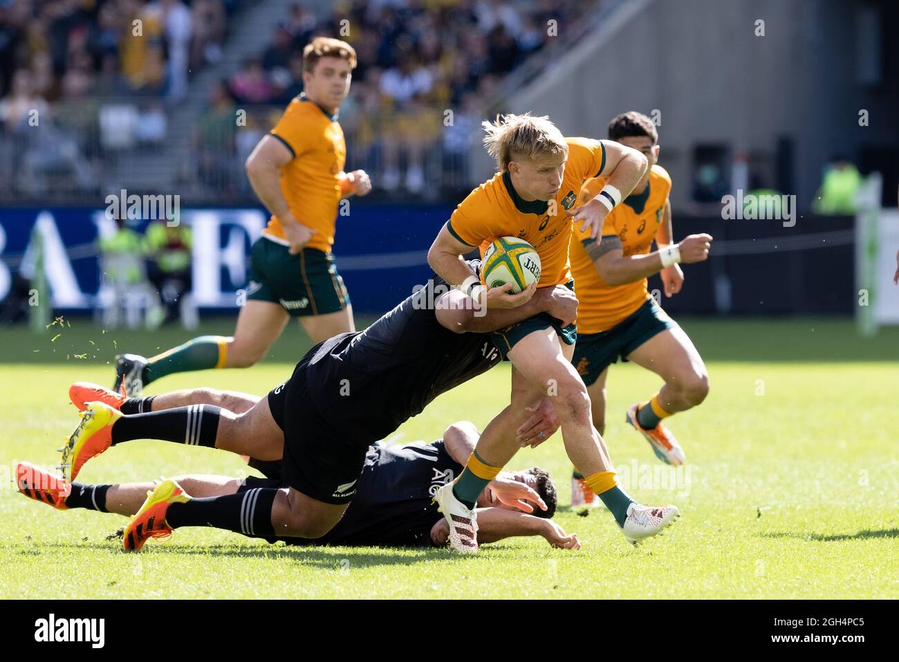 Perth, Australia, 5 Settembre, 2021. Tate McDermott dei Wallabies è affrontato durante il campionato di Rugby e la partita di Bledisloe Cup tra i Wallabies australiani e la Nuova Zelanda All Blacks Credit: Graham Conaty/Speed Media/Alamy Live News Foto Stock