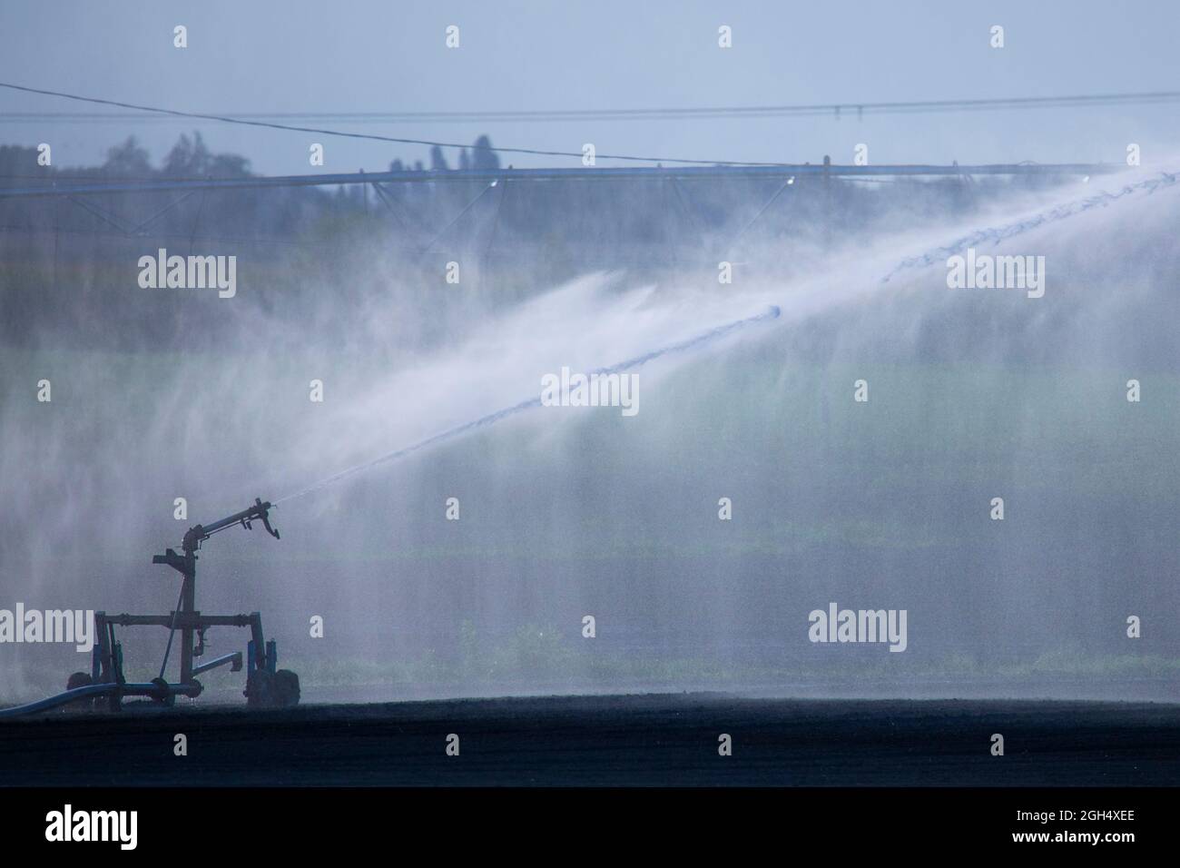 L'impianto di irrigazione irriga i campi d'estate in Italia Foto Stock