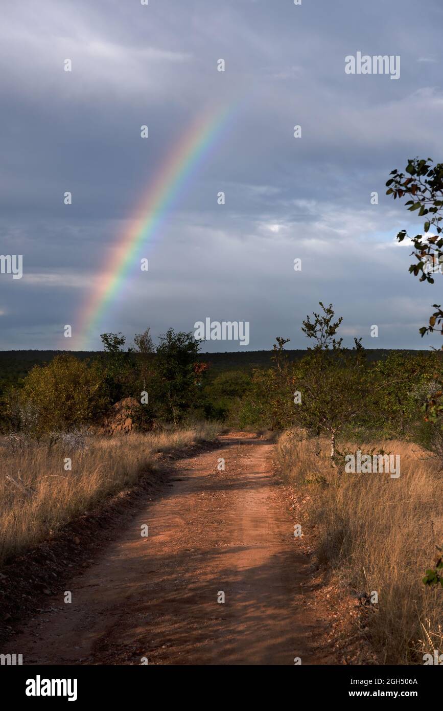 Una strada sterrata dritta con un arcobaleno sullo sfondo Foto Stock