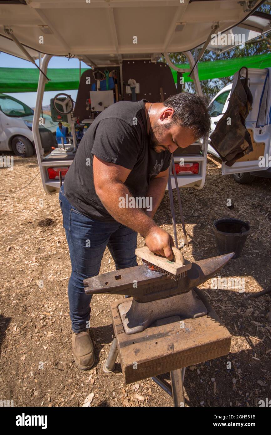 Un fabbro, un guerriero, aggrappato e modellare un ferro di cavallo su un  incudine, con un pennello, la Spagna Foto stock - Alamy