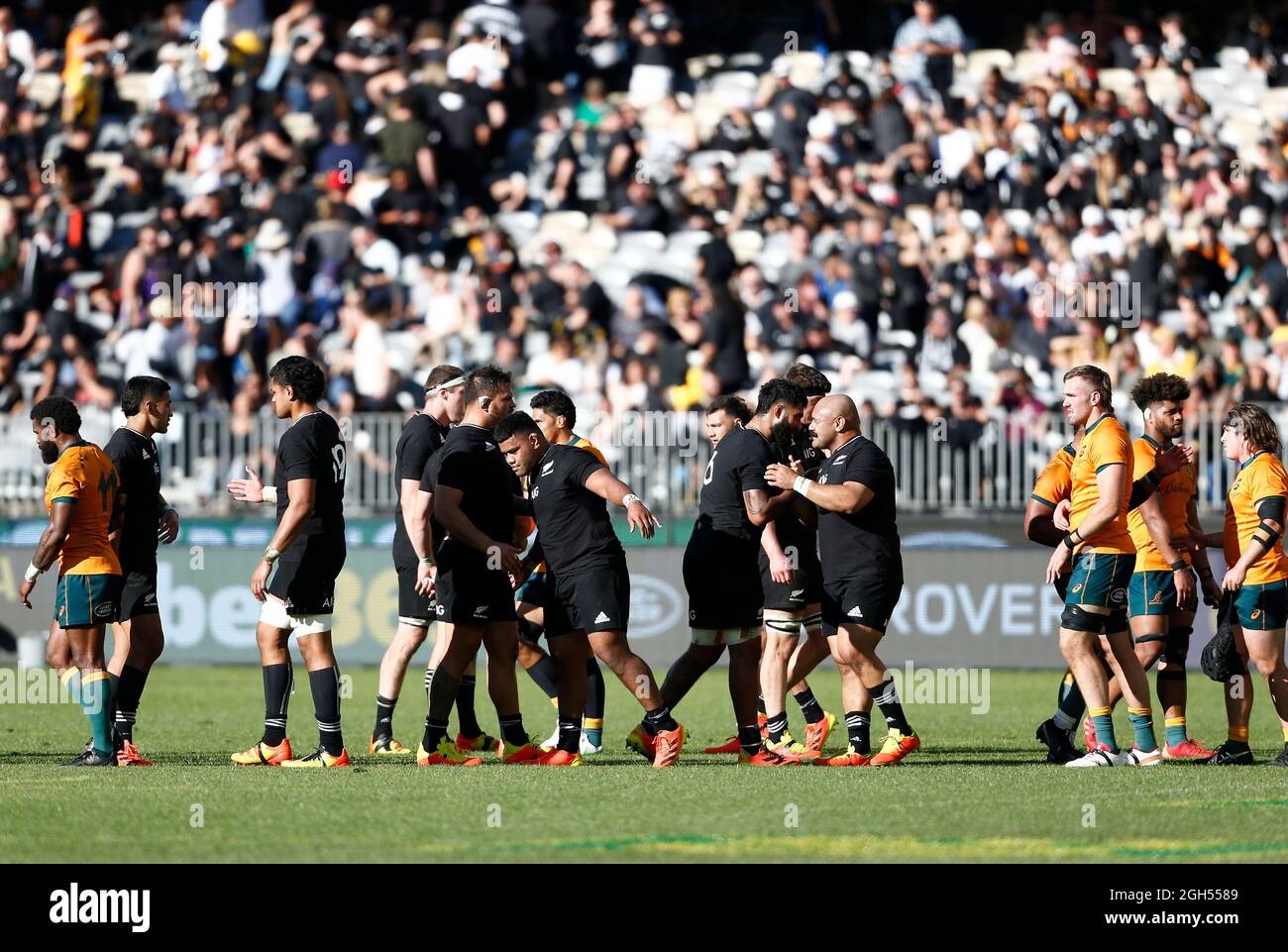 5 settembre 2021; Optus Stadium, Perth, Australia: Bledisloe Cup International Rugby, Australia versus New Zealand; i giocatori scuotono le mani dopo la partita Foto Stock