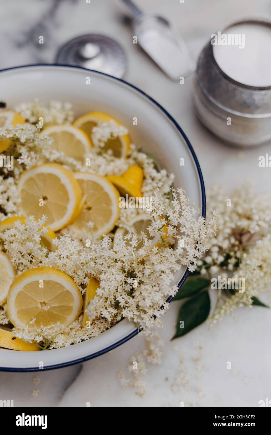 Preparare il fiore di sambuco cordiale con fiori freschi, zucchero e limone Foto Stock