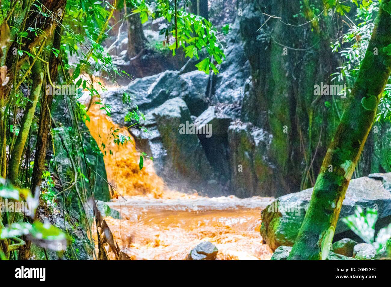 Cascata di Wang Sao Thong nella foresta pluviale tropicale nella stagione delle piogge a Koh Samui in Surat Thani Thailandia. Foto Stock