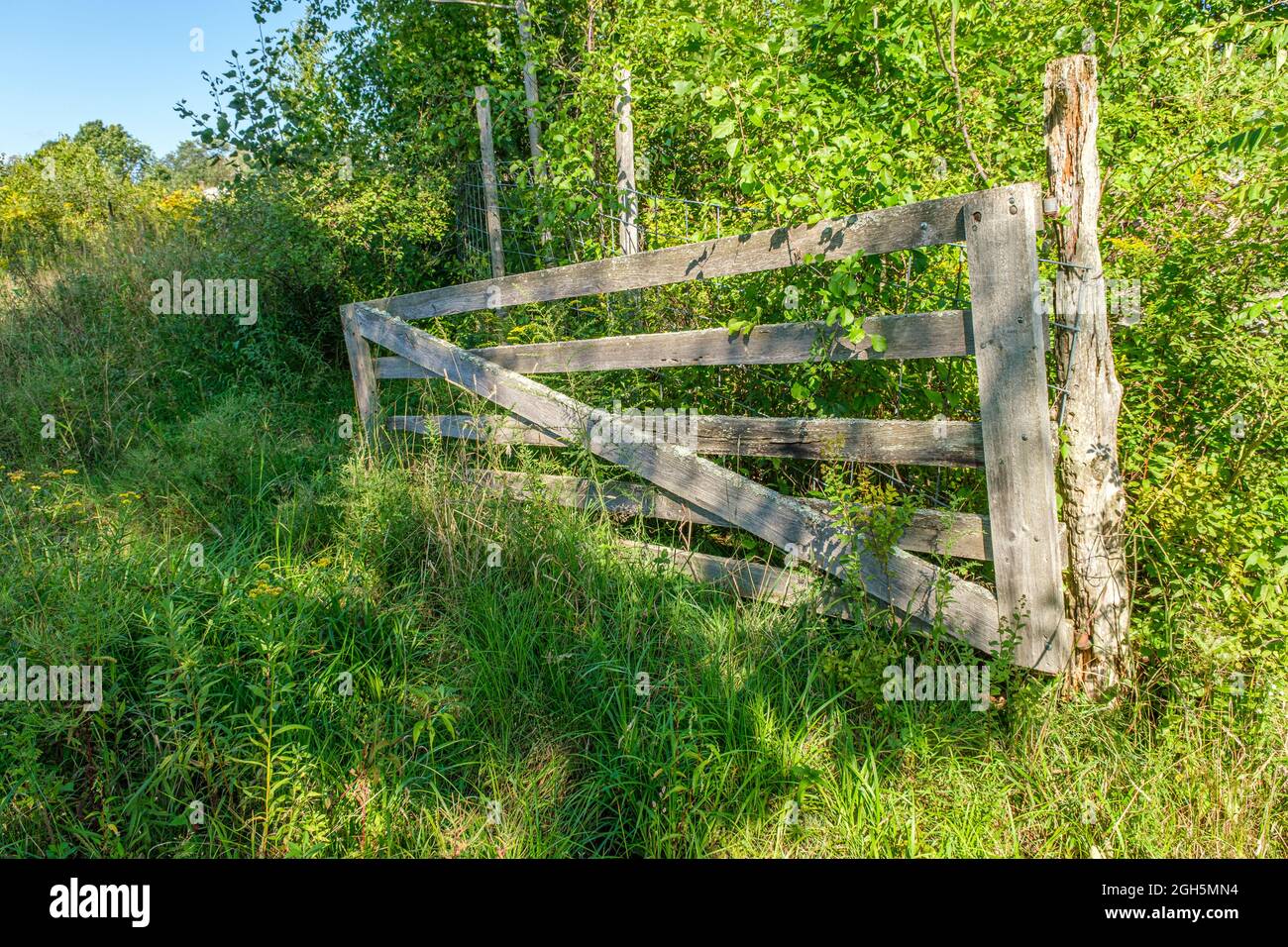 Un vecchio cancello di legno ad un pascolo nella piccola città rurale di Hardwick, Massachusetts Foto Stock