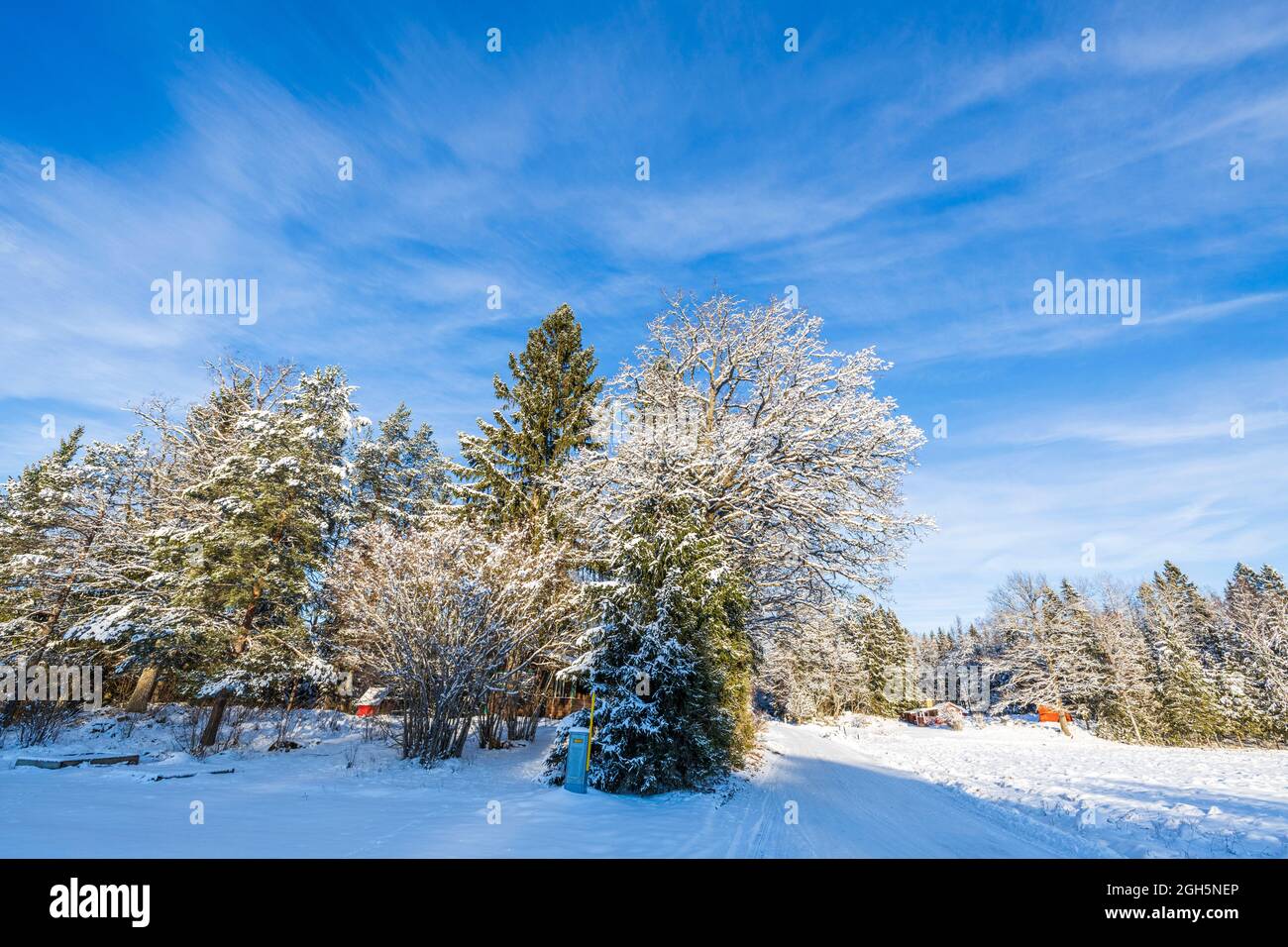 Splendida vista sul paesaggio invernale. Strada di campagna nella foresta di neve. Bella natura sfondo invernale. Foto Stock