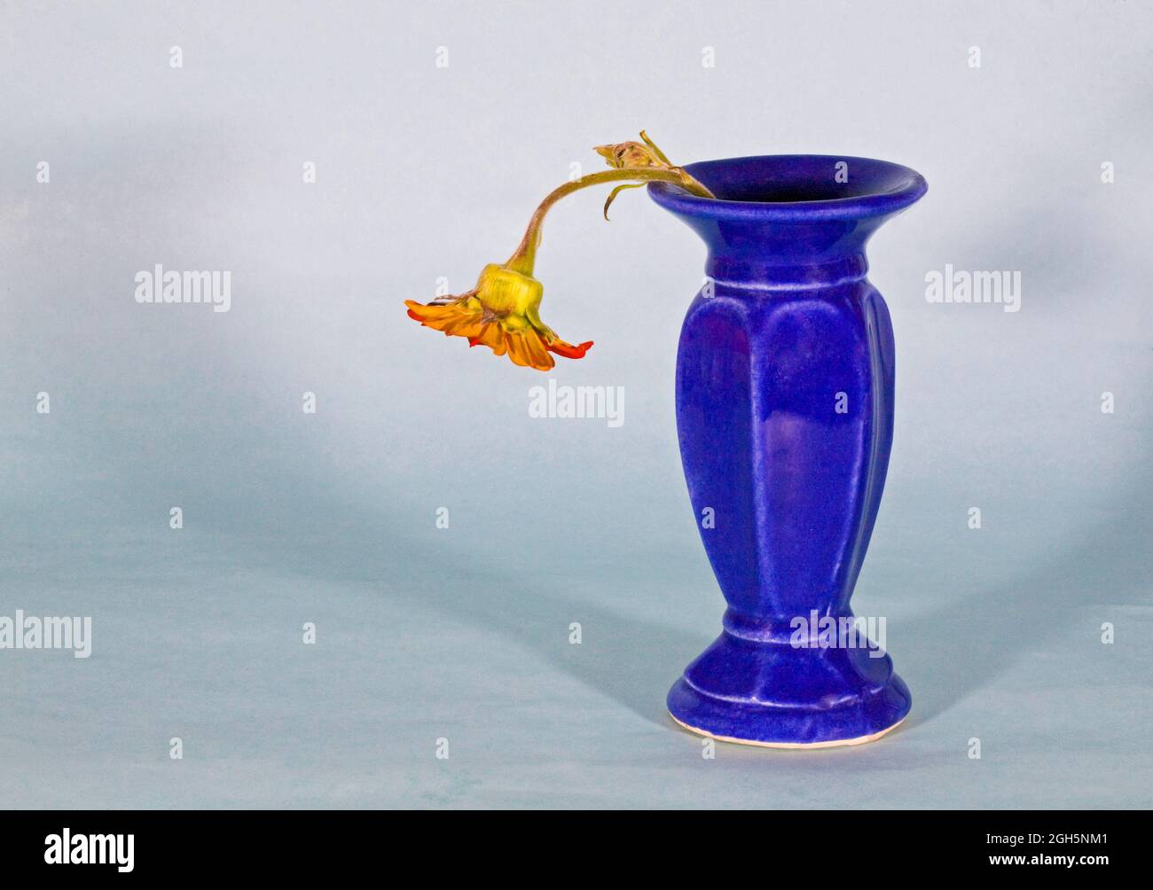 Un piccolo bouquet di fiori da giardino colorati ma morenti in un piccolo vaso su uno sfondo semplice. Foto Stock