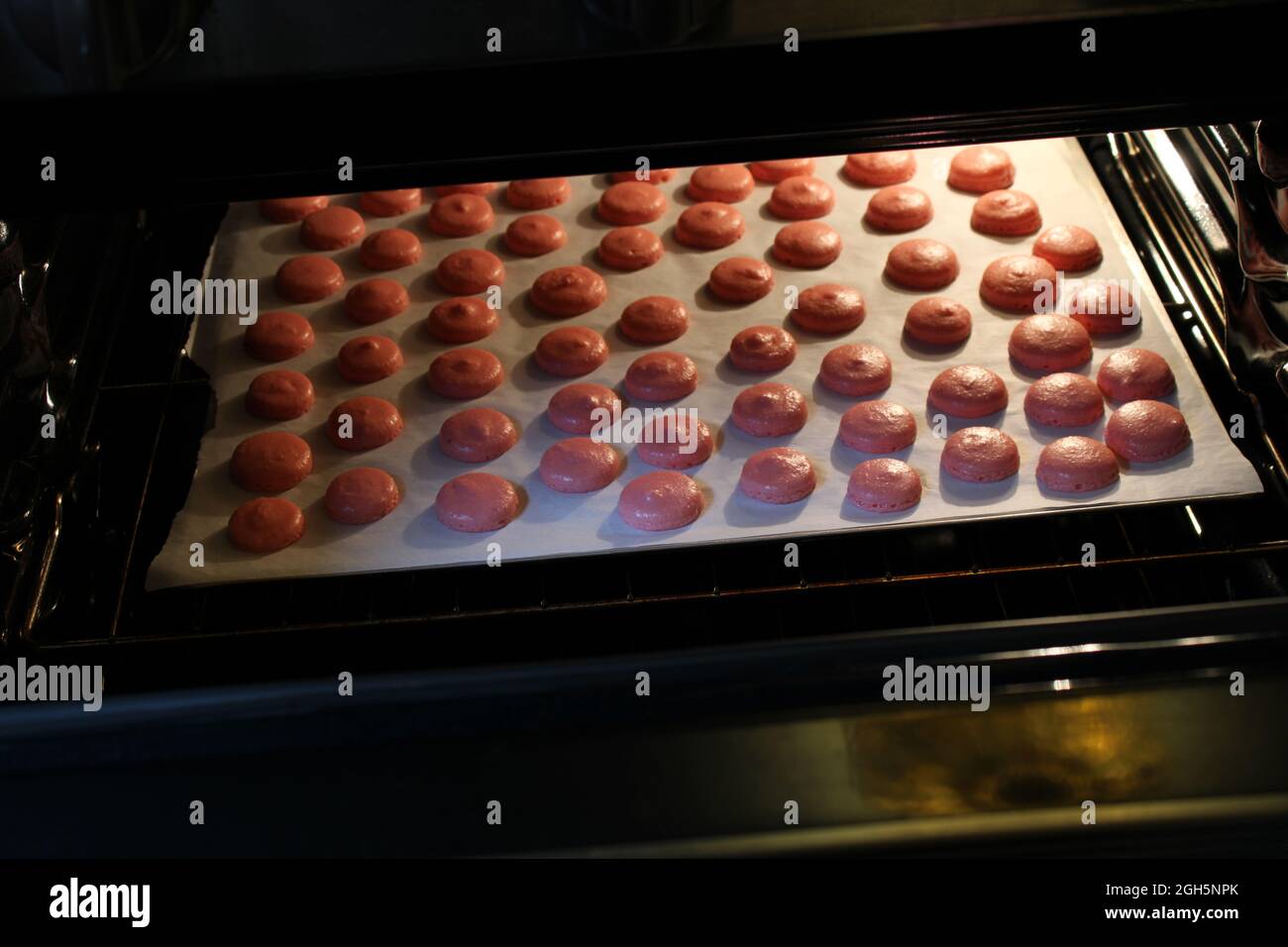 Un vassoio di conchiglie di Macaron rosa in un forno Foto Stock