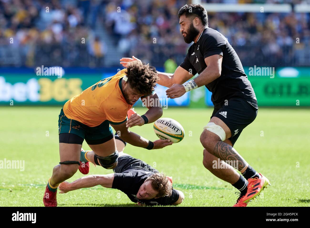 Perth, Australia, 5 Settembre, 2021. Rob Valetini dei Wallabies guarda passare la palla durante il campionato di rugby e la partita di Bledisloe Cup tra i Wallabies australiani e la Nuova Zelanda All Blacks. Credit: Graham Conaty/Speed Media/Alamy Live News Foto Stock