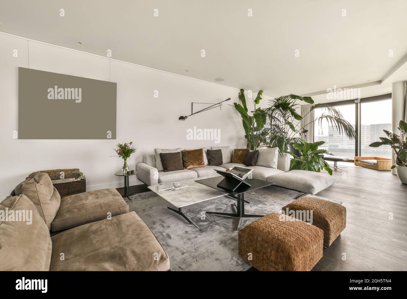 Design interno di elegante e spazioso soggiorno con divani morbidi decorati  con piante in vaso in un moderno e lussuoso appartamento Foto stock - Alamy