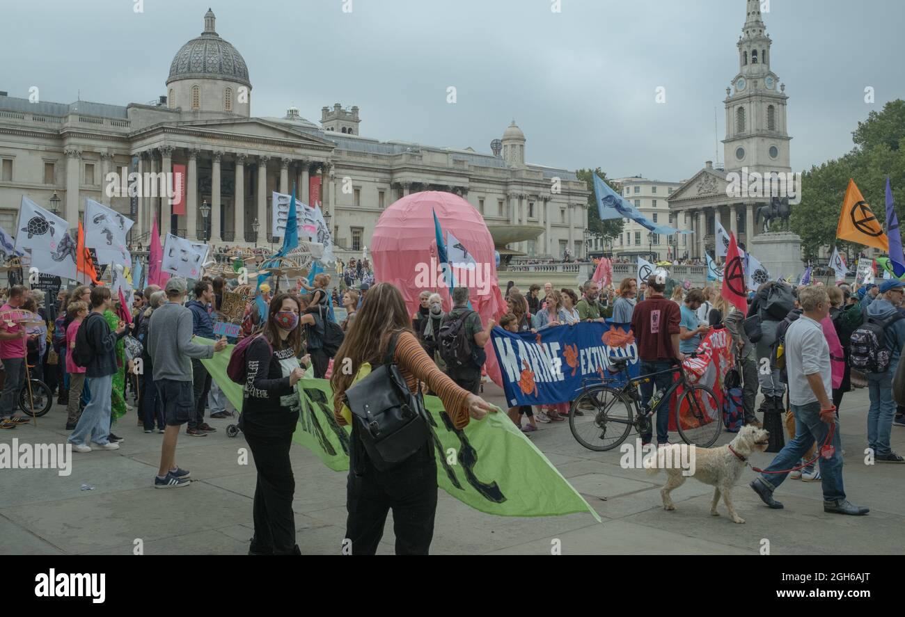 Manifestazione di estinzione della ribellione, Trafalgar Square, Londra Foto Stock