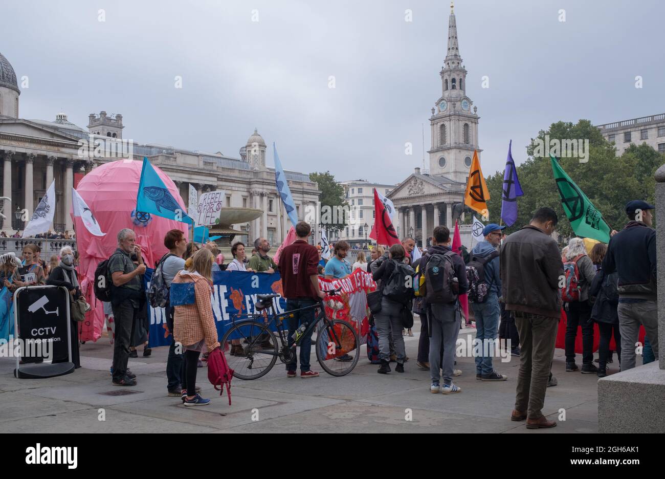 Manifestazione di estinzione della ribellione, Trafalgar Square, Londra Foto Stock