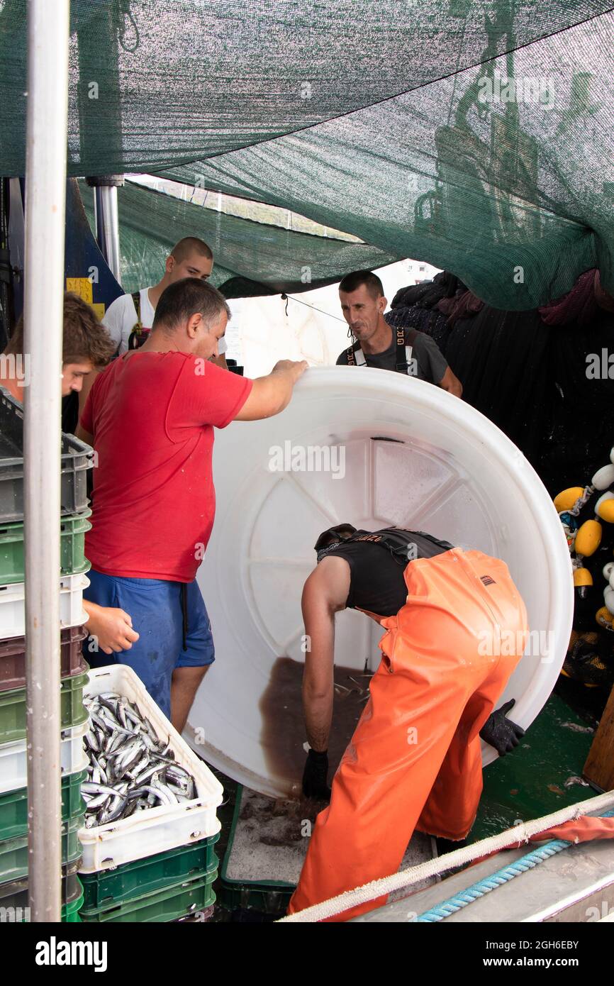 Tribunj, Croazia - 4 agosto 2021: Pescatori che smistano il pesce pescato dal grande contenitore di plastica su una piccola barca da pesca Foto Stock