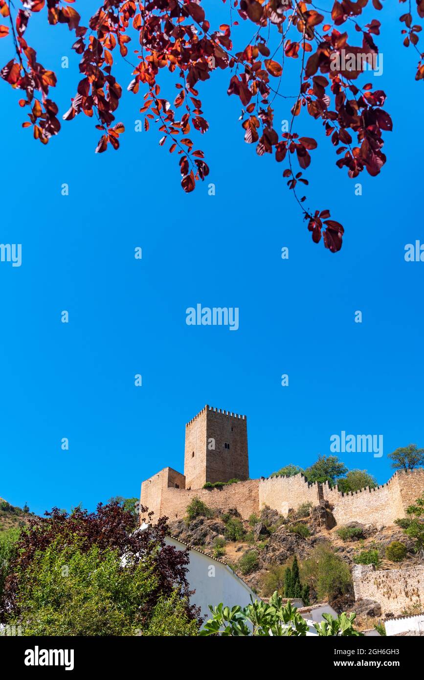 Cazorla Castello incorniciato tra foglie e piante. Foto Stock