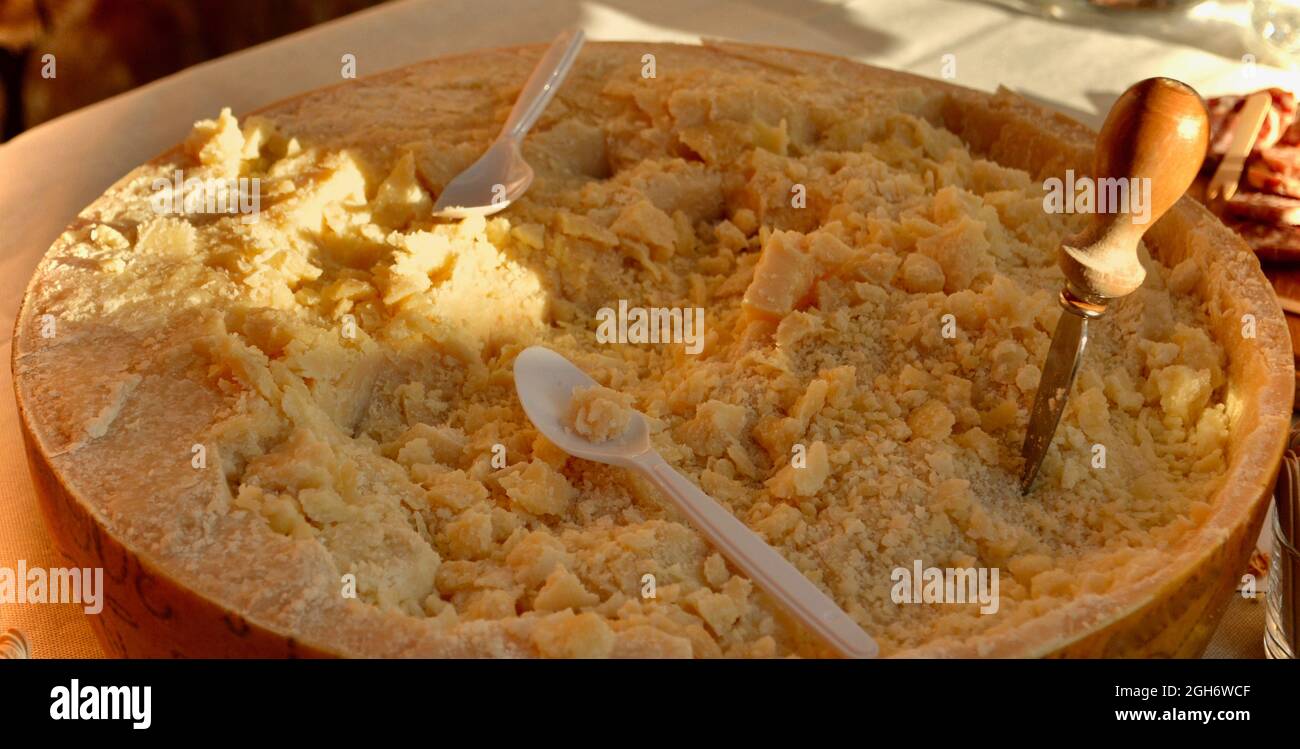 Padano stagionato pronto per essere mangiato Foto Stock