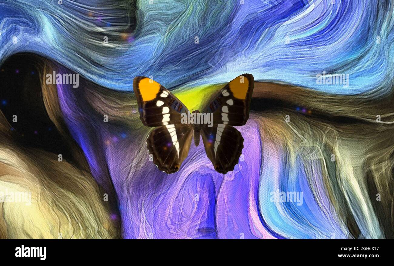 Farfalla su pittura astratta colorata. Rendering 3D Foto Stock