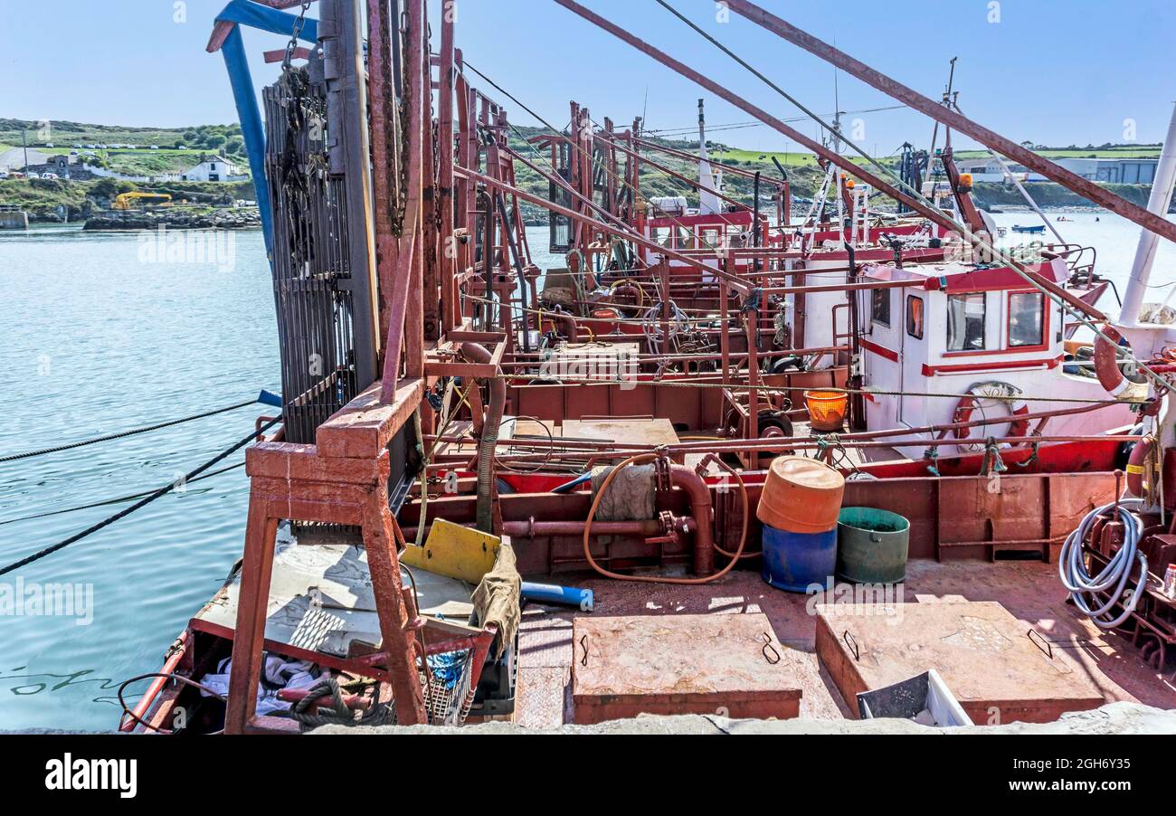 Una linea di barche da pesca Cockle allineate nel villaggio di pescatori di Clogherhead, County Louth, Dublino, Irlanda. Foto Stock