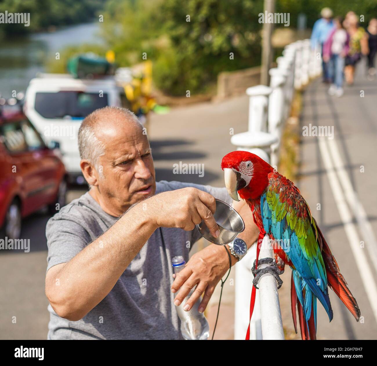 Arley. REGNO UNITO. 5 Settembre 2021. Tempo britannico: Con le alte temperature di oggi, e previsioni per i prossimi giorni, il sole, clima caldo certamente porta turisti di ogni tipo in campagna. Questa famiglia, compresi i pappagalli per animali domestici, sembra godere di una pausa dalla vita cittadina con una rinfrescante passeggiata vicino al fiume a Arley, Worcestershire. Credit: Lee Hudson/Alamy Live News Foto Stock