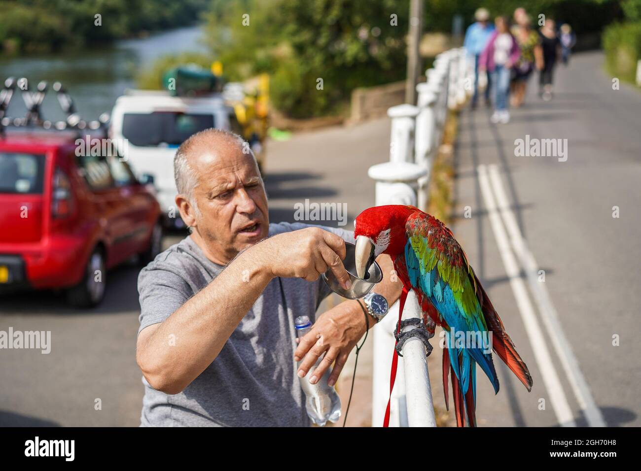 Arley. REGNO UNITO. 5 Settembre 2021. Tempo britannico: Con le alte temperature di oggi, e previsioni per i prossimi giorni, il sole, clima caldo certamente porta turisti di ogni tipo in campagna. Questa famiglia, compresi i pappagalli per animali domestici, sembra godere di una pausa dalla vita cittadina con una rinfrescante passeggiata vicino al fiume a Arley, Worcestershire. Credit: Lee Hudson/Alamy Live News Foto Stock