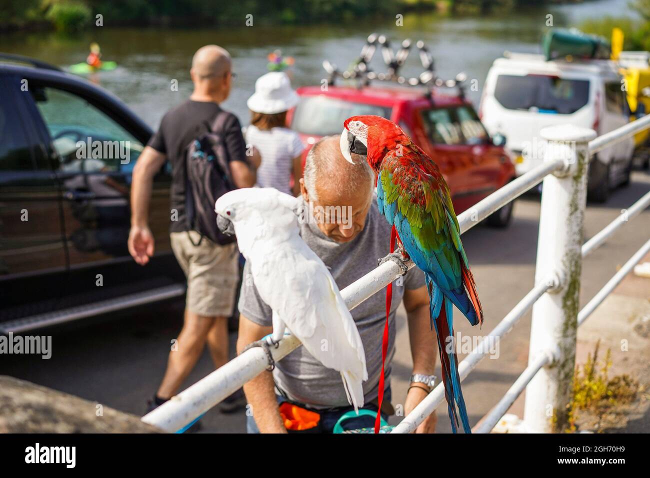 Arley. REGNO UNITO. 5 Settembre 2021. Tempo britannico: Con le alte temperature di oggi, e previsioni per i prossimi giorni, il sole, clima caldo certamente porta turisti di ogni tipo in campagna. Questa famiglia, compresi i pappagalli per animali domestici, sembra godere di una pausa dalla vita cittadina con una rinfrescante passeggiata vicino al fiume a Arley, Worcestershire. Credit: Lee Hudson/Alamy Live News Foto Stock