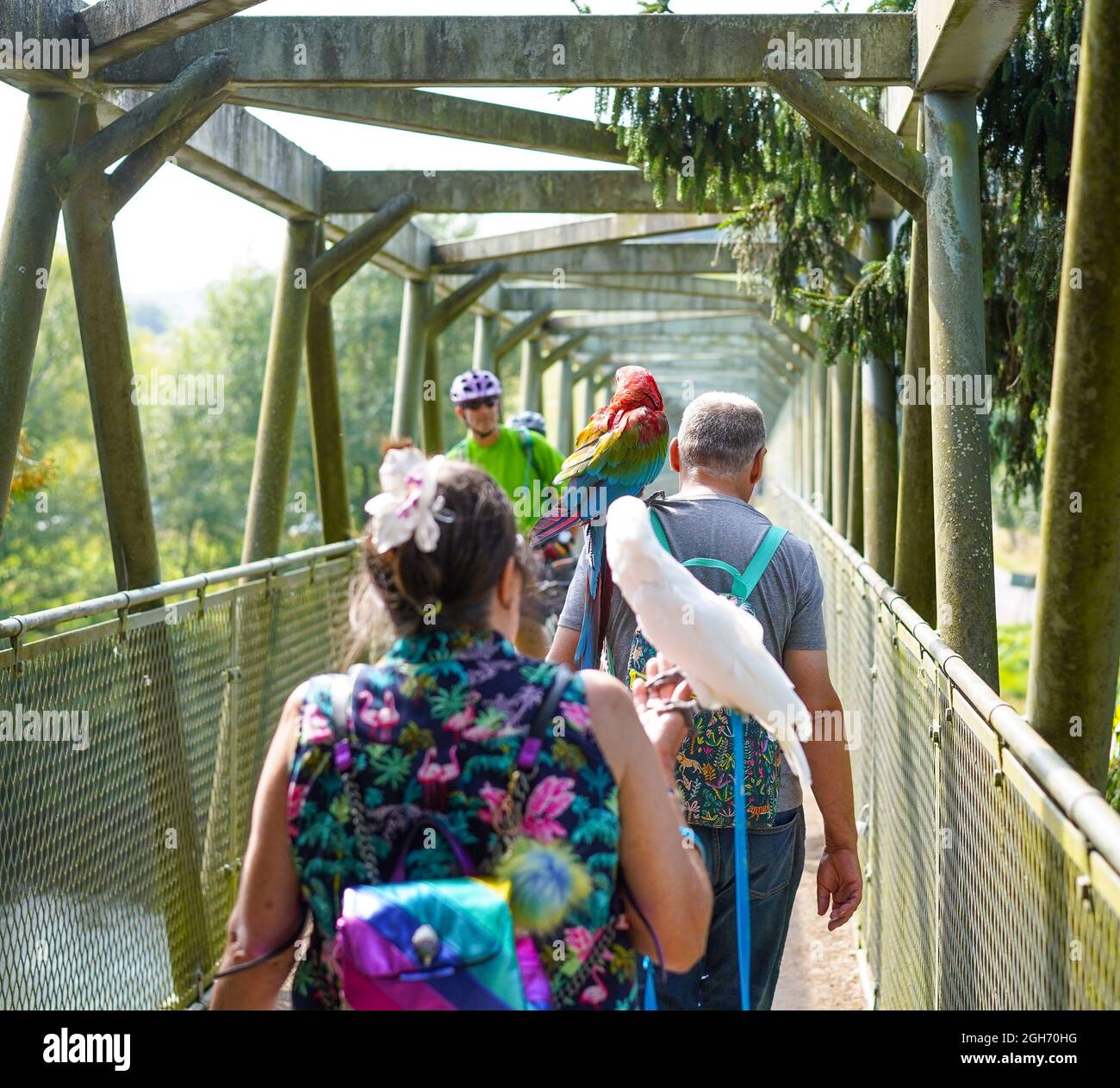 Arley. REGNO UNITO. 5 Settembre 2021. Tempo britannico: Con le alte temperature di oggi, e previsioni per i prossimi giorni, il sole, clima caldo certamente porta turisti di ogni tipo in campagna. Questa famiglia, compresi i pappagalli per animali domestici, sembra godere di una pausa dalla vita cittadina con una rinfrescante passeggiata vicino al fiume a Arley, Worcestershire. Credit: Lee Hudson/Alamy Live News Foto Stock