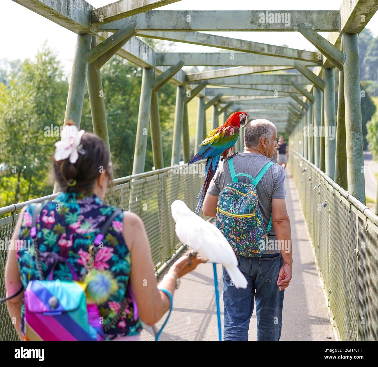 Arley. REGNO UNITO. 5 Settembre 2021. Tempo britannico: Con le alte temperature di oggi, e previsioni per i prossimi giorni, il sole, clima caldo certamente porta turisti di ogni tipo in campagna. Questa famiglia, compresi i pappagalli per animali domestici, sembra godere di una pausa dalla vita cittadina con una rinfrescante passeggiata vicino al fiume a Arley, Worcestershire. Credit: Lee Hudson/Alamy Live News Foto Stock