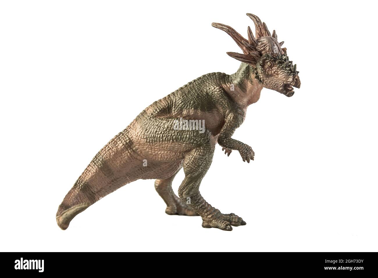 Dinosauro Stygimoloch su sfondo bianco . Foto Stock