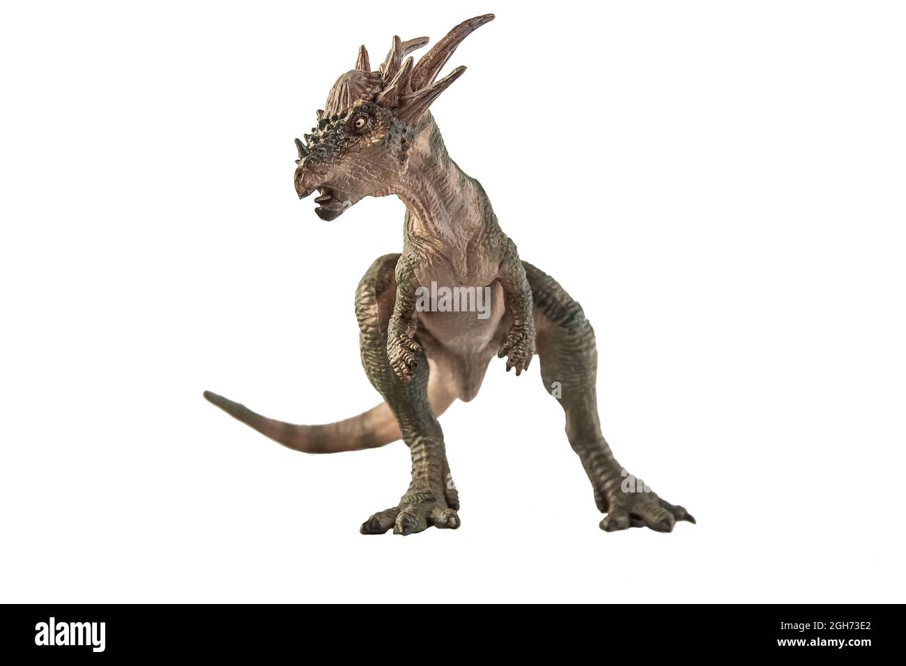 Dinosauro Stygimoloch su sfondo bianco . Foto Stock
