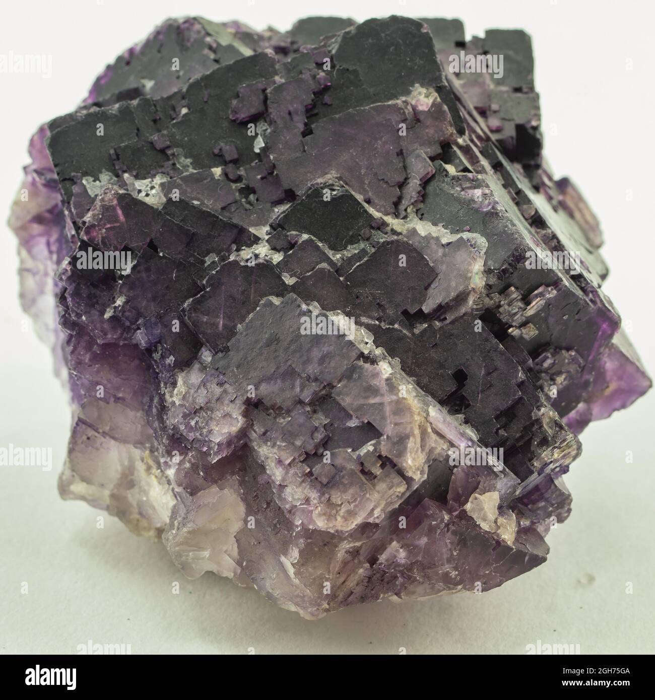 cristalli cubici violetti di campione di minerale di fluorite Foto Stock