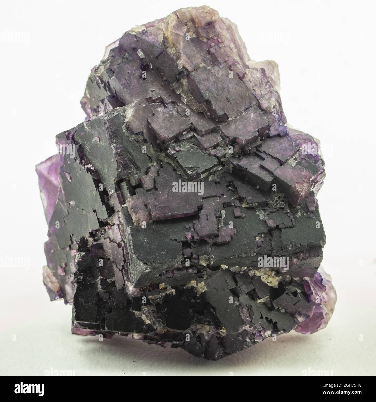 cristalli cubici violetti di campione di minerale di fluorite Foto Stock