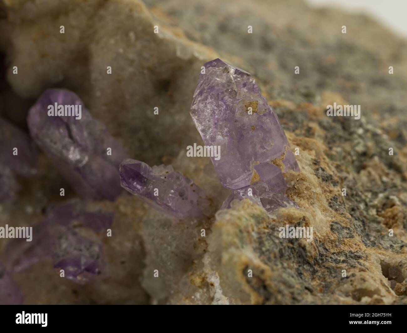 immagine ingrandita di un campione di minerale di quarzo ametista Foto Stock